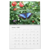 美しい蝶カレンダー カレンダー (1月 2027)
