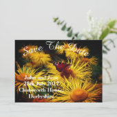 美しい蝶保存日付 セーブザデート (スタンド正面)