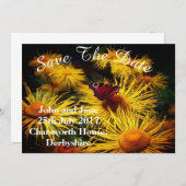 美しい蝶保存日付 セーブザデート (正面/裏面)