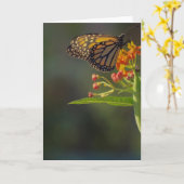 美しい蝶写真グリーティングカー空白のド カード (黄色い花)
