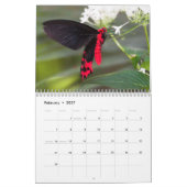 美しい蝶 カレンダー (2月 2027)