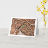 美しい蝶 カード (黄色い花)