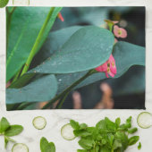 美しい蝶 キッチンタオル (折り畳み)