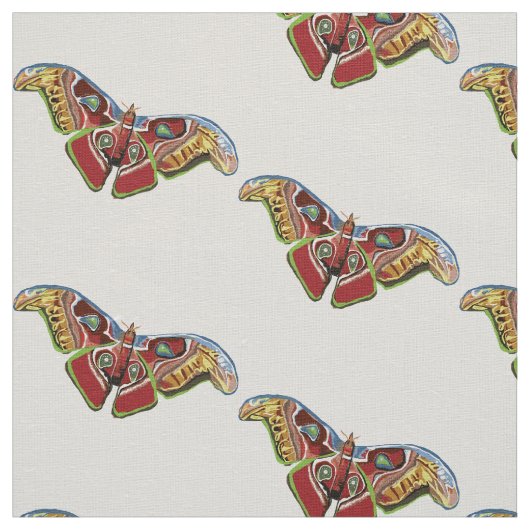 美しい蝶 ファブリック (見本)