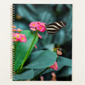 美しい蝶 プランナー手帳 (正面)