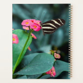 美しい蝶 プランナー手帳 (裏面)