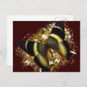 美しい蝶 ポストカード (正面/裏面)