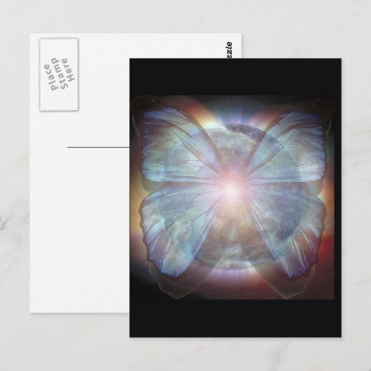 美しい蝶 ポストカード (正面/裏面)