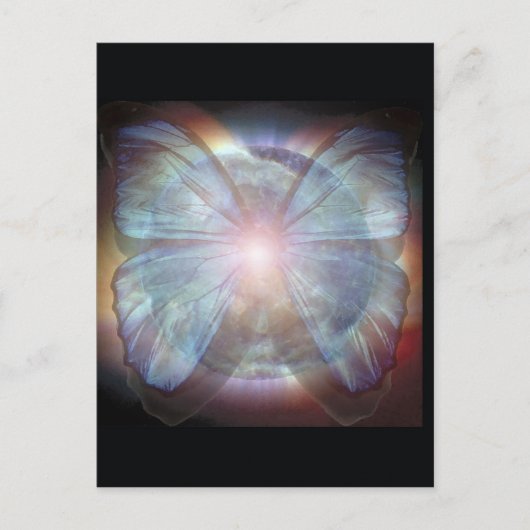 美しい蝶 ポストカード (正面)