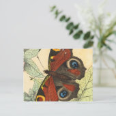 美しい蝶 ポストカード (スタンド正面)