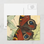 美しい蝶 ポストカード (正面/裏面)