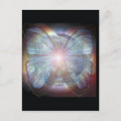 美しい蝶 ポストカード (正面)