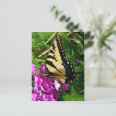 美しい蝶 ポストカード (スタンド正面)