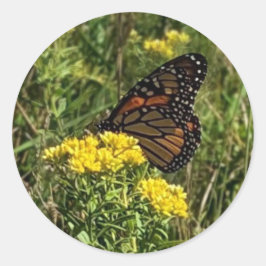 美しい蝶 ラウンドシール