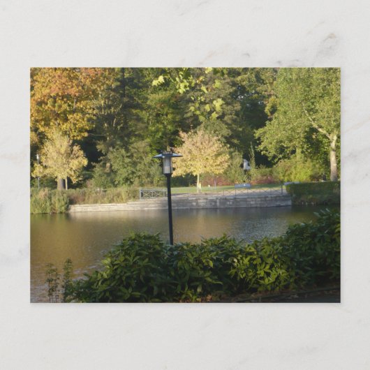 美しい表現はがき ポストカード (正面)