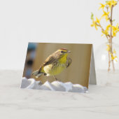 美しい裏庭の鳥 – Palm Warbler カード (黄色い花)