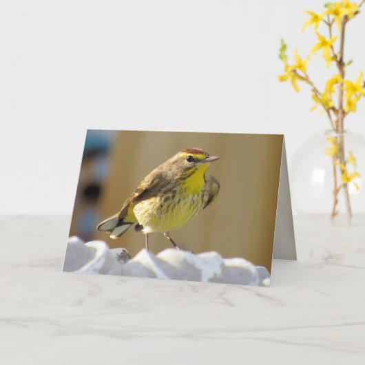 美しい裏庭の鳥 – Palm Warbler カード (黄色い花)