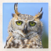 美しい角のフクロウとの見素晴らし張りコンテスト ガラスコースター (正面)