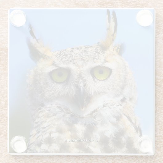 美しい角のフクロウとの見素晴らし張りコンテスト ガラスコースター (裏面)