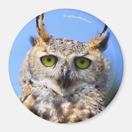 美しい角のフクロウとの見素晴らし張りコンテスト マグネット (正面)