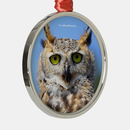 美しい角のフクロウとの見素晴らし張りコンテスト メタルオーナメント (右)