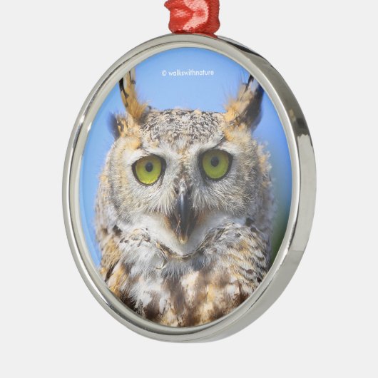 美しい角のフクロウとの見素晴らし張りコンテスト メタルオーナメント (左)