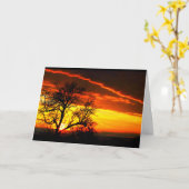 美しい誕生日を日の出から日没まで! カード (黄色い花)