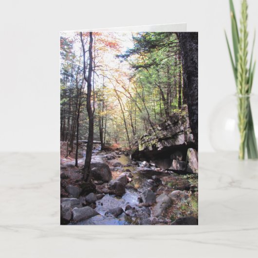 美しい誕生日 カード (正面)