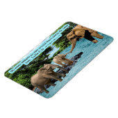 美しい象の聖なる書物、 経典マグネットルーク6:31 マグネット (左側)