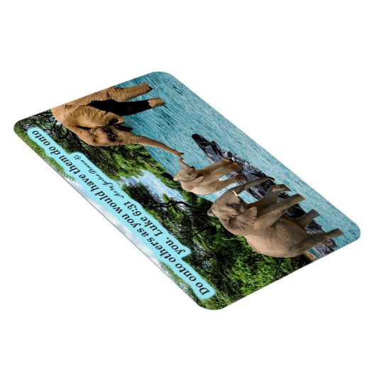 美しい象の聖なる書物、 経典マグネットルーク6:31 マグネット (右側)