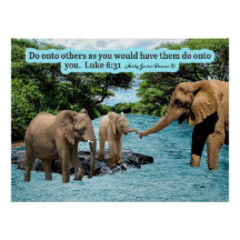 美しい象聖なる書物、 経典ルカ6:31