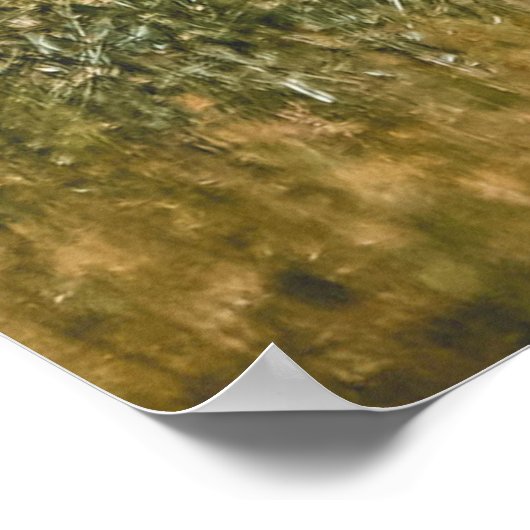 美しい象 ポスター (角)