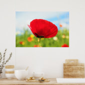 美しい赤いケシの花 ポスター (キッチン)