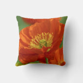 美しい赤いケシ クッション (裏面)