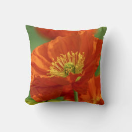 美しい赤いケシ クッション