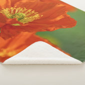 美しい赤いケシ シェルパブランケット (3/4)