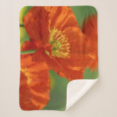 美しい赤いケシ シェルパブランケット (正面)