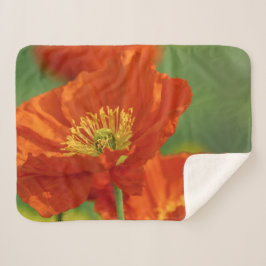 美しい赤いケシ シェルパブランケット