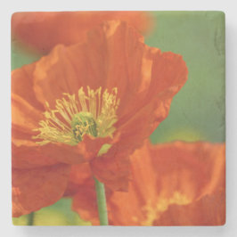 美しい赤いケシ ストーンコースター