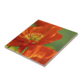 美しい赤いケシ タイル (側面)