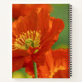 美しい赤いケシ ノートブック (裏面)