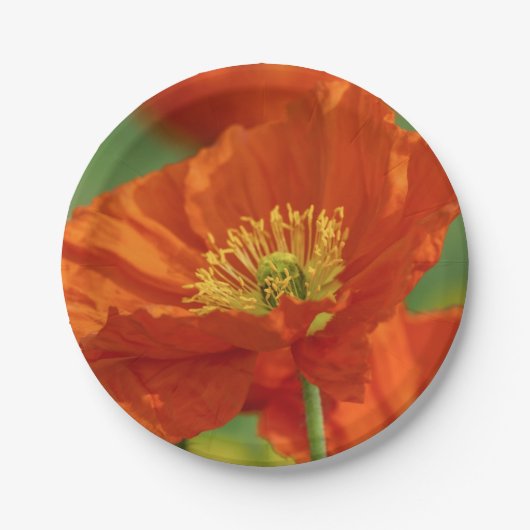 美しい赤いケシ ペーパープレート (正面)