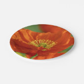 美しい赤いケシ ペーパープレート (アングル)