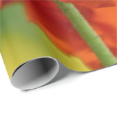 美しい赤いケシ ラッピングペーパー (ロールコーナー)