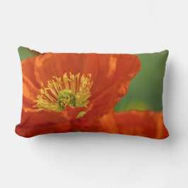 美しい赤いケシ ランバークッション