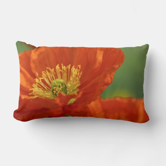 美しい赤いケシ ランバークッション (正面)