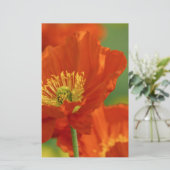 美しい赤いケシ 便箋 (スタンド正面)