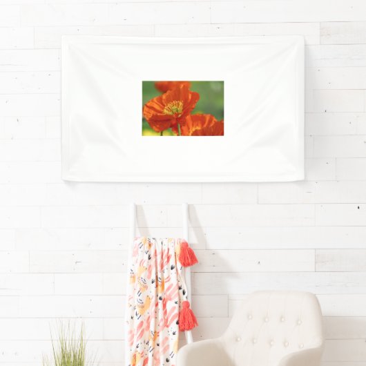 美しい赤いケシ 横断幕 (インサイチュ)