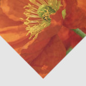 美しい赤いケシ 薄葉紙 (詳細)