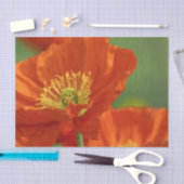 美しい赤いケシ 薄葉紙 (クラフト)